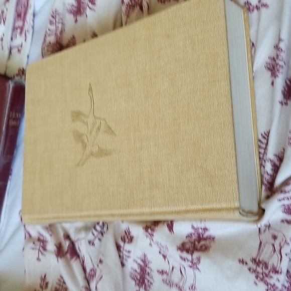 Grimm's Fairy Tales 2 - Picture 2 of 9